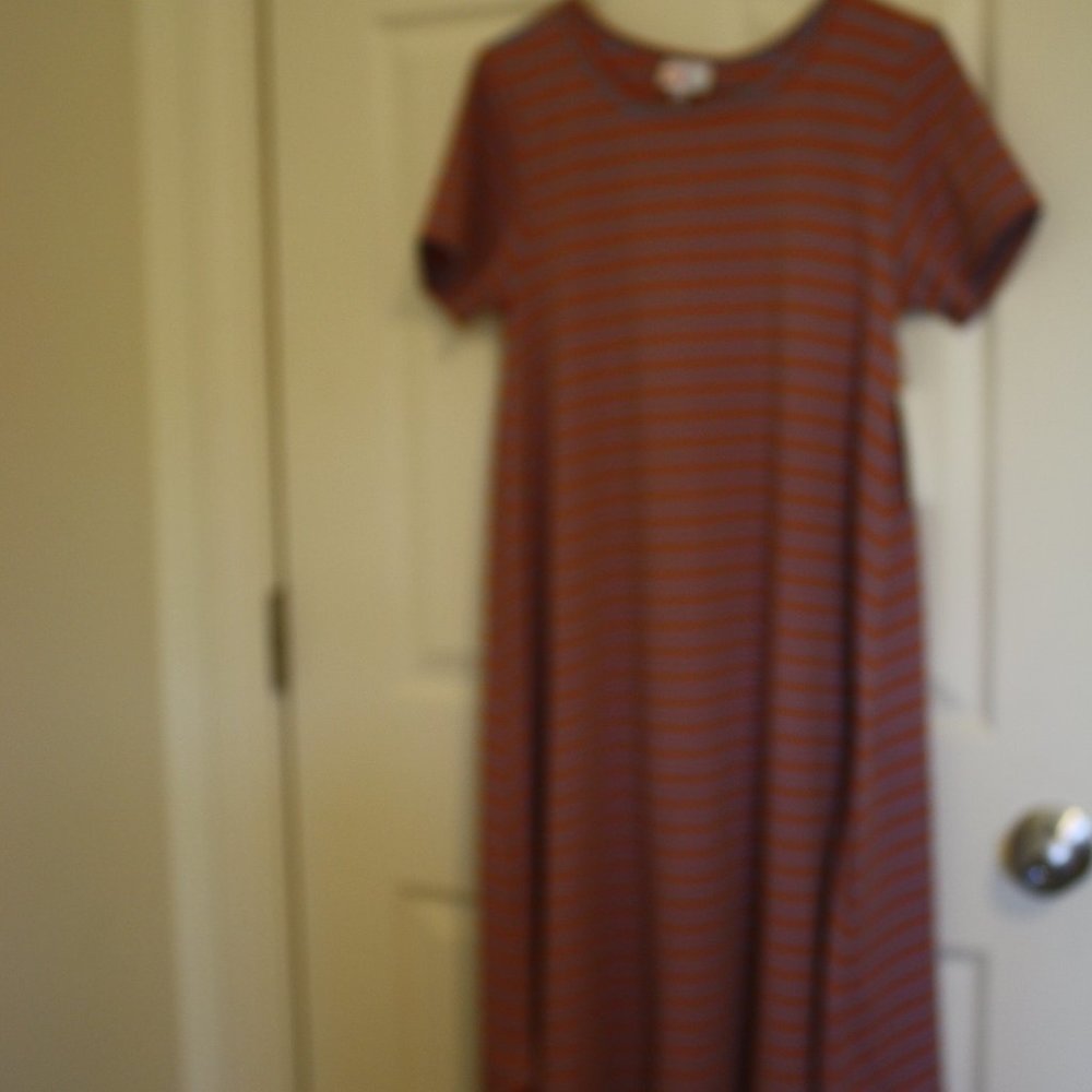 Lularoe Carly dress, size xs, NWT